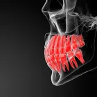 La imagen 4 de la Empresa SOLUCION DENTAL IDENTALITAS Salud y Medicina en Valdemoro M