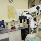 La imagen 2 de la Empresa SONRÍE CLÍNICA DENTAL Salud y Medicina en Valladolid VA
