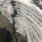 La imagen 2 de la Empresa STAR EASY SPORTSWEAR Ropa Para Deporte Y Gimnasia: Establecimientos en Santa Coloma de Gramanet B