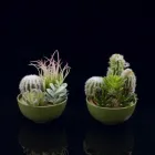 La imagen 13 de la Empresa SUPERNOVA DECORACION Servicios Profesionales y de Negocios en Málaga España