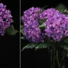 La imagen 29 de la Empresa SUPERNOVA DECORACION Servicios Profesionales y de Negocios en Málaga España