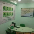 La imagen 8 de la Empresa TECNOCASA Inmobiliarias en Barcelona B