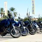 La imagen 8 de la Empresa TRAFIK AUTOESCUELAS Y FORMACIÓN Automotriz en Elche A