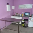 La imagen 7 de la Empresa VITALCAN CENTRO VETERINARIO URGENCIAS 24 HORAS Veterinarios y Farmacias Veterinarias en Sevilla SE