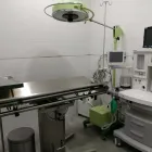 La imagen 12 de la Empresa VITALCAN CENTRO VETERINARIO URGENCIAS 24 HORAS Veterinarios y Farmacias Veterinarias en Sevilla SE