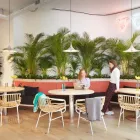 La imagen 9 de la Empresa WEWORK CALLE DE FERNANDO EL SANTO, 20 Instituciones y Asociaciones en Madrid M
