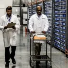 La imagen 5 de la Empresa WORLD COURIER Transportes y Turismo en Madrid M