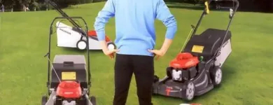 La imagen 4 de la Empresa ALBINI MAQUINARIA DE JARDINERÍA Servicios Profesionales y de Negocios en Madrid M