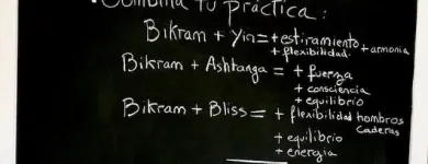 La imagen 5 de la Empresa BIKRAM YOGA ORGAZ Yoga en Madrid M