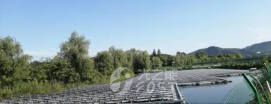 La imagen 1 de la Empresa BOSCH FLOATING SOLAR PV SYSTEM & SOLUTION CO., LIMITADO Centrales De Energia Solar Fotovoltaica en Madrid M
