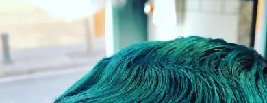 La imagen 13 de la Empresa CARRERA PELUQUERO Productos y Servicios de Cuidado Personal en Barcelona B