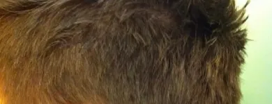 La imagen 21 de la Empresa CARRERA PELUQUERO Productos y Servicios de Cuidado Personal en Barcelona B