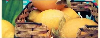 La imagen 3 de la Empresa CERERÍA ORTIZ Servicios Profesionales y de Negocios en Madrid M