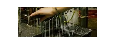 La imagen 5 de la Empresa CERERÍA ORTIZ Servicios Profesionales y de Negocios en Madrid M