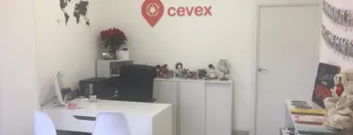 La imagen 4 de la Empresa CEVEX Idiomas En El Extranjero en Madrid M