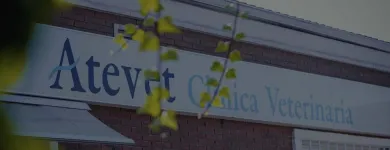 La imagen 1 de la Empresa CLÍNICA VETERINARIA CABRERIZOS - BEATRIZ PIZARRO Veterinarios y Farmacias Veterinarias en Cabrerizos SA