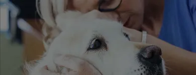 La imagen 2 de la Empresa CLÍNICA VETERINARIA CABRERIZOS - BEATRIZ PIZARRO Veterinarios y Farmacias Veterinarias en Cabrerizos SA