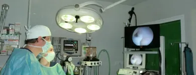 La imagen 2 de la Empresa CLÍNICA VETERINARIA ROMAREDA Veterinarios y Farmacias Veterinarias en Zaragoza AR