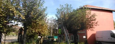 La imagen 6 de la Empresa CSIMA Servicios y Equipos de Limpieza en Bilbao BI