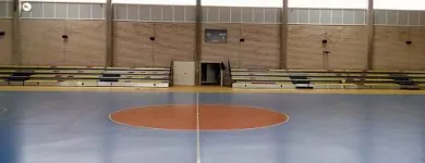 La imagen 5 de la Empresa DECAN SPORTS EQUIPMENT S.L. Deportes y Recreación en Cuarte de Huerva AR