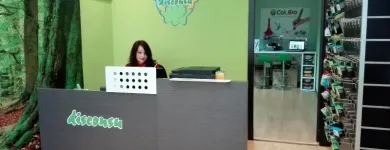La imagen 11 de la Empresa DISCONSU GIJÓN Toner en Gijón O