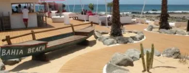 La imagen 2 de la Empresa ECOGRASS Servicios Profesionales y de Negocios en Adeje TF