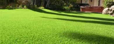 La imagen 3 de la Empresa ECOGRASS Servicios Profesionales y de Negocios en Adeje TF