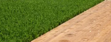 La imagen 4 de la Empresa ECOGRASS Servicios Profesionales y de Negocios en Adeje TF
