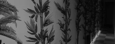 La imagen 4 de la Empresa EDENCHAMBERI Salud y Medicina en Madrid M