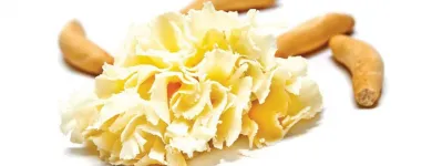 La imagen 44 de la Empresa ENRIQUE TOMÁS JAMON-TAPAS-VINO Tiendas y Productores de Alimentos en Madrid M