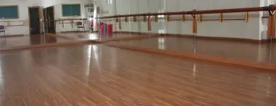 La imagen 2 de la Empresa ESCUELA DE DANZA HARMONÍA Escuelas de Baile en Madrid M