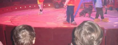 La imagen 7 de la Empresa ESCUELA INFANTIL BILINGÜE CENTRO VIDA Guarderías en Madrid M