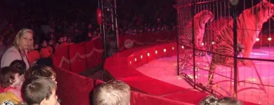 La imagen 8 de la Empresa ESCUELA INFANTIL BILINGÜE CENTRO VIDA Guarderías en Madrid M