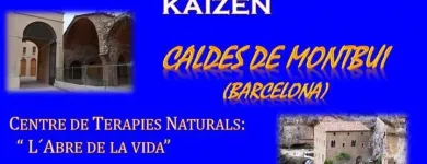 La imagen 9 de la Empresa ESCUELA MASAJE CALIFORNIANO KAIZEN Salud y Medicina en Madrid M