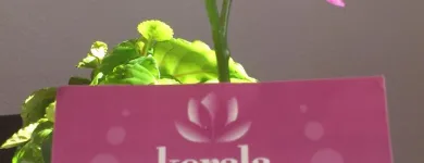 La imagen 2 de la Empresa ESPACIO PLURAL KERALA Yoga en Madrid M