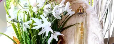 La imagen 4 de la Empresa ESSENS Productos y Servicios de Cuidado Personal en Ingenio GC