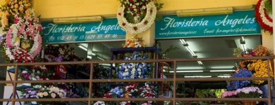 La imagen 2 de la Empresa FLORISTERÍA ÁNGELES Industrias y Agricultura en Campanillas MA