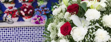 La imagen 10 de la Empresa FLORISTERÍA ÁNGELES Industrias y Agricultura en Campanillas MA