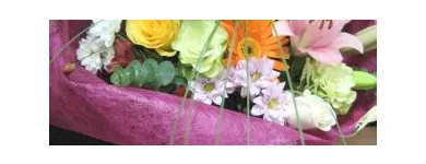 La imagen 1 de la Empresa FLORISTERÍA COQUIFLÓ Tiendas de Regalos en Madrid M