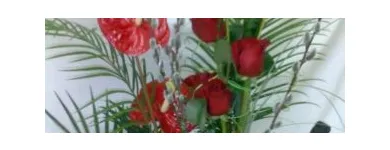 La imagen 3 de la Empresa FLORISTERÍA COQUIFLÓ Tiendas de Regalos en Madrid M