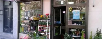 La imagen 4 de la Empresa FLORISTERÍA COQUIFLÓ Tiendas de Regalos en Madrid M