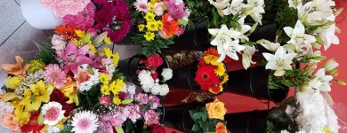 La imagen 5 de la Empresa FLORISTERÍA LA CAMELIA Industrias y Agricultura en Santa Cruz de Tenerife TF