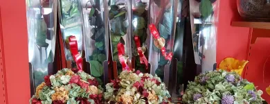 La imagen 8 de la Empresa FLORISTERÍA LA CAMELIA Industrias y Agricultura en Santa Cruz de Tenerife TF