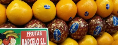 La imagen 1 de la Empresa FRUTAS BARCELO Tiendas y Productores de Alimentos en Madrid M