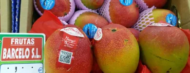 La imagen 4 de la Empresa FRUTAS BARCELO Tiendas y Productores de Alimentos en Madrid M
