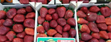 La imagen 5 de la Empresa FRUTAS BARCELO Tiendas y Productores de Alimentos en Madrid M