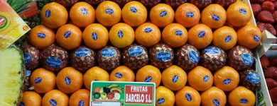La imagen 6 de la Empresa FRUTAS BARCELO Tiendas y Productores de Alimentos en Madrid M