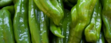 La imagen 9 de la Empresa FRUTAS BARCELO Tiendas y Productores de Alimentos en Madrid M