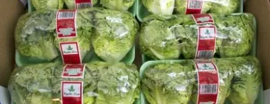 La imagen 10 de la Empresa FRUTAS BARCELO Tiendas y Productores de Alimentos en Madrid M