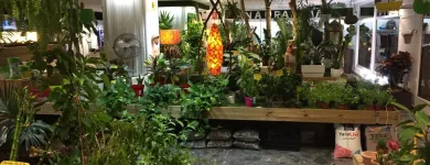 La imagen 1 de la Empresa GRUPO ANATURA - LA CASA DE LAS SEMILLAS Servicios Profesionales y de Negocios en Las Palmas de Gran Canaria GC